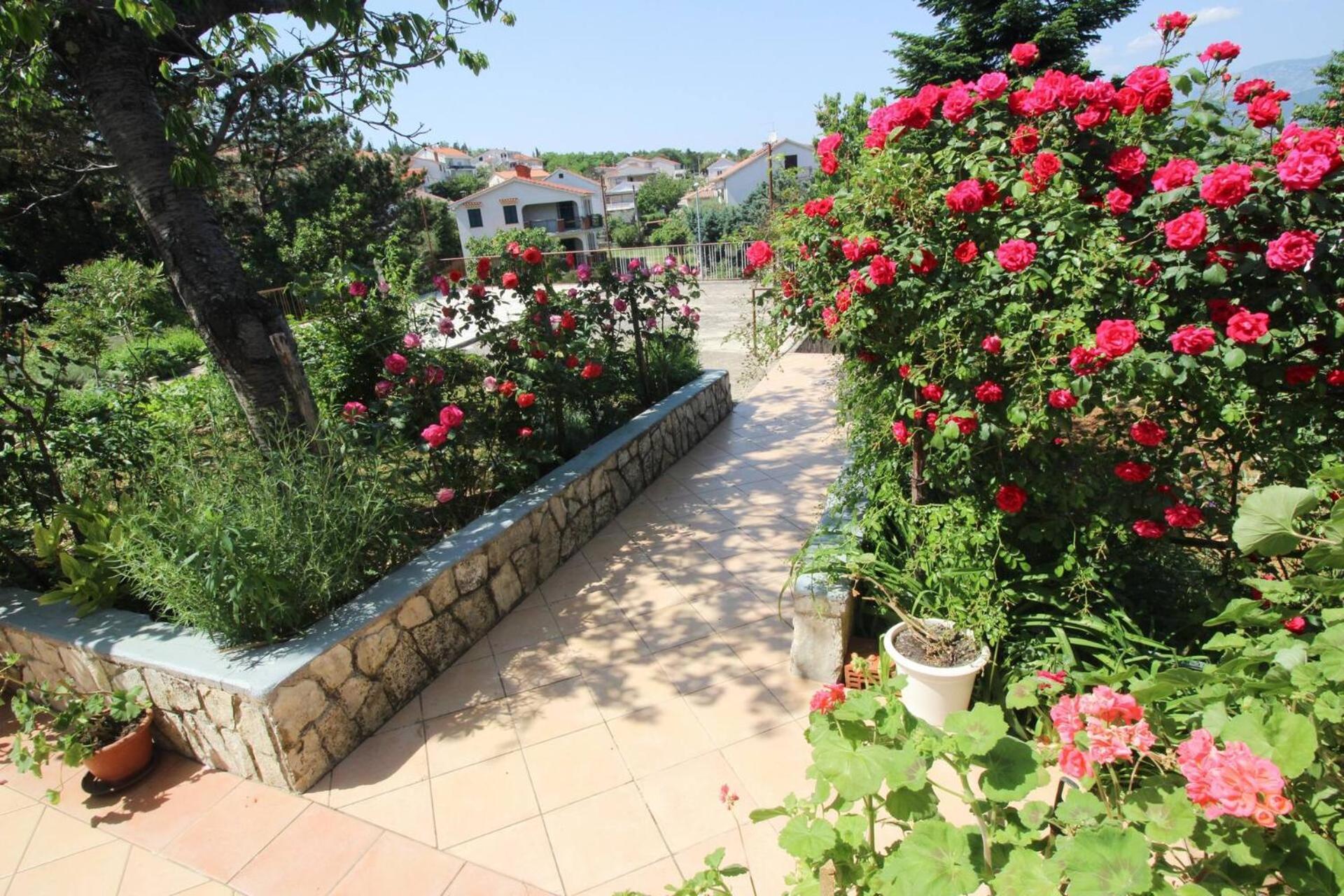 Apartments Dragica Сило Экстерьер фото